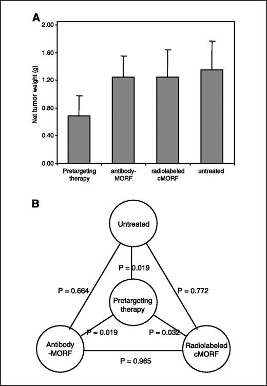 Fig. 4. A, histograms showing the average tumor weight at sacrifice for mice from the pretargeting group and the three control groups. Bars, SD. B, Ps are also presented.