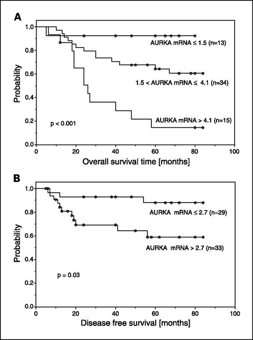 Fig. 3. A, effect of AURKA mRNA expression on overall survival in patients with HNSCC (P < 0.001). B, effect of AURKA mRNA expression on disease-free survival in patients with HNSCC (P = 0.03).