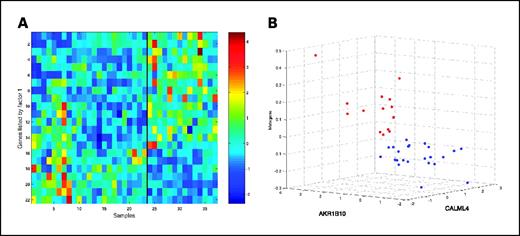 Fig. 1. Gene expression profiles that identify an inflammatory breast cancer phenotype. A, image intensity display of genes identified by top models. The vertical line demarks the non-IBC from IBC tumors. B, scatter plot depicting the classification of samples based on the expression patterns. The 37 samples were plotted according to the expression level of the two most highly weighted genes (AKR1B10 and CALML4) in regression models predicting IBC. The metagene, represented on the vertical axis, represents the key predictive metagene underlying the set of 22 genes appearing in a thresholded selection of the top-scoring 100 regression models. IBC cases (red), non-IBC cases (blue).