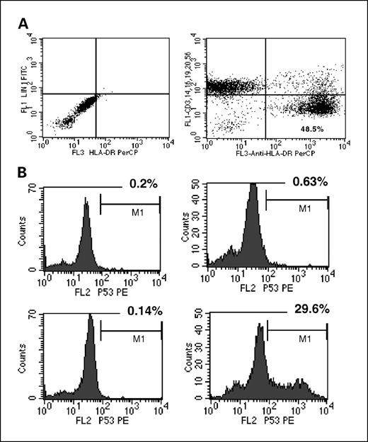 Fig. 1. Characteristics of DCs generated from mononuclear cells. DCs were prepared from frozen samples of mononuclear cells and infected with adenovirus-p53 as described in the text. A, on day 7, cells were collected and labeled with a cocktail of FITC-conjugated lineage-specific antibodies and a PerCP-conjugated HLA-DR antibody (right) or isotype control IgG (left). B, surface-stained cells were fixed, permeabilized, and stained with isotype control (top right) or anti-p53 antibody (bottom right). To illustrate the specificity of the staining, noninfected cells were stained with isotype control IgG (top left) or anti-p53 antibody (bottom left). Lin−HLA-DR+ DCs were gated, and staining with p53 was analyzed within this population of DCs.
