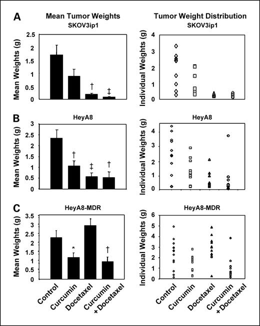 Fig. 3. Mean tumor weights and distribution from curcumin therapy experiments. Mice inoculated with SKOV3ip1 (A), HeyA8 (B), and HeyA8-MDR (C) received either vehicle alone (control), curcumin alone (500 mg/kg), docetaxel alone (35 or 50 μg once weekly depending on cell line), or combination curcumin plus docetaxel. Animals from all groups were sacrificed when control animals were moribund (approximately 3-4 weeks after initiating therapy depending on the cell line used). All tumors were harvested; the tumor weight and number of nodules were recorded. Columns, mean tumor weights for each sample group; bars, SE. *, P ≤ 0.05; †, P ≤ 0.01; ‡, P ≤ 0.001.