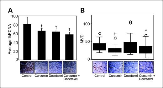 Fig. 4. A, proliferative index for SKOV3ip1 tumors with representative PCNA immunohistochemical sections from tumors collected at necropsy. B, box plot of MVD for SKOV3ip1 tumors with representative CD31 immunohistochemical sections from tumors collected at necropsy. ○, outliers. *, P ≤ 0.01; †, P ≤ 0.001.