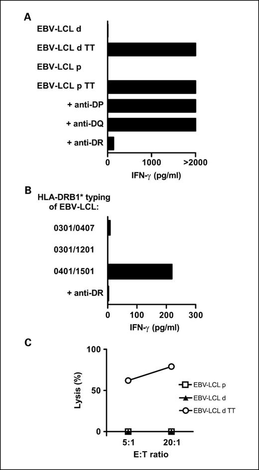 Rebuilding Human Leukocyte Antigen Class IIRestricted Minor Antigen
