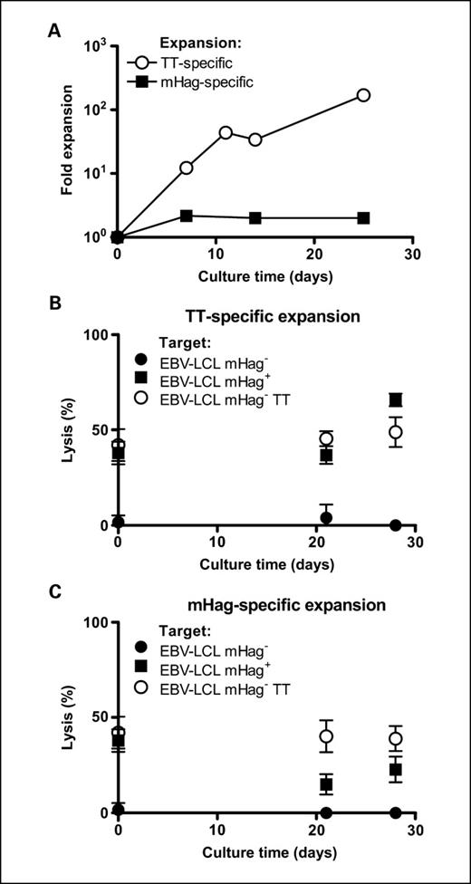 Rebuilding Human Leukocyte Antigen Class IIRestricted Minor Antigen
