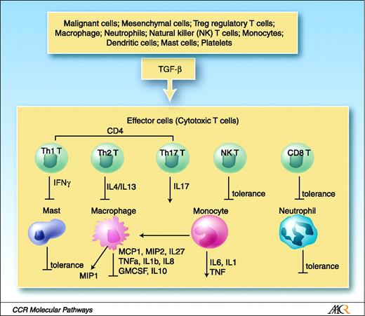 Fig. 1. Alterations in behavior and secreted proteins that occur in immune system cells under the influence of a TGF-β–rich environment.
