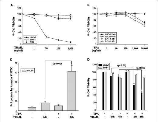 Fig. 1. Low-dose TPA enhances TRAIL-induced apoptosis in LNCaP cells. A, cell viability of PC3, LNCaP, and BPH-1 cells were measured by 3-(4,5-dimethylthiazol-2-yl)-2,5-diphenyltetrazolium bromide assay. Cells were treated with TRAIL for 24 h. B, cell viability of LNCaP and BPH-1 cells treated with different doses of TPA for 24 h and 48 h. C, percentage of apoptotic cells was measured by Annexin V–FITC staining. D, cell viability of LNCaP and BPH-1 cells. Cells in (C) and (D) were treated with TPA alone (100 ng/mL) or pretreated with TPA (100 ng/mL) for 24 h and then treated with TRAIL (100 ng/mL) for the indicated times. Bars, SD from at least three independent experiments.