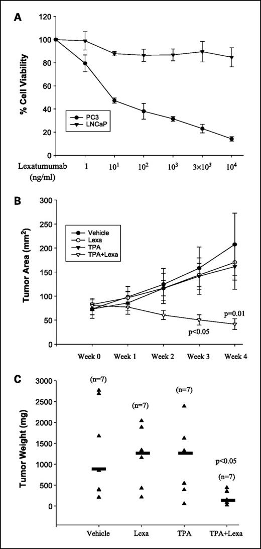 Fig. 3. Combination of TPA and lexatumumab reduces tumor burden in LNCaP xenografts. A, cell viability of PC3 and LNCaP cells after treatment with lexatumumab (Lexa). Bars, SD. B, average tumor area during the 4-week treatment in vehicle, Lexa, TPA and TPA + Lexa groups. Week 0, tumor sizes before initiating therapy. C, scatter plot of tumor weight. Triangle, tumor weight of a xenograft; black bars, median weight for the tumors in each group (n = 7 per group). Bars, SD. P values represent comparison of the TPA + Lexa group to the other treatment arms.