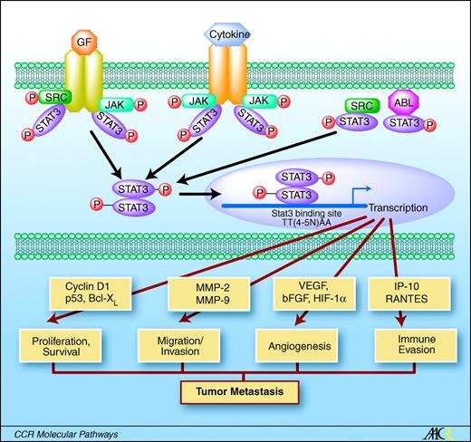 Regulation of Metastases by Signal Transducer and Activator of ...