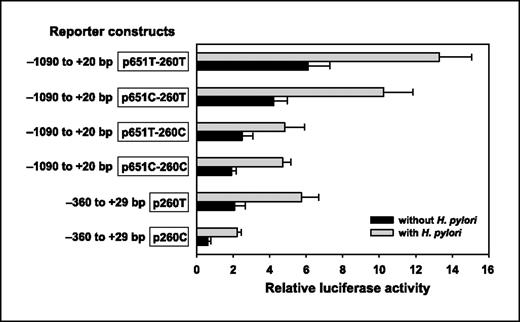 Fig. 1. Transient reporter gene expression assays with constructs containing different alleles and haplotypes of the CD14 promoter in SMMC-7721 cells. The cells were cotransfected with pRL-SV40 to standardize transfection efficiency. Luciferase levels of pGL3-Basic and pRL-SV40 were determined in three experiments, and each was done in triplicate. Columns, mean of relative luciferase activity of the CD14 reporter constructs compared with the empty pGL3-Basic vector; bars, SD. The results showed that the −260T allele– and the −260T allele–containing haplotypes had significantly higher transcriptional activity than the −260C allele– and the −260C allele–containing haplotypes (P < 0.01), and these significant differences were still marked after H. pylori stimulation (P < 0.01). Similar results were observed in assays with HepG2 cells.