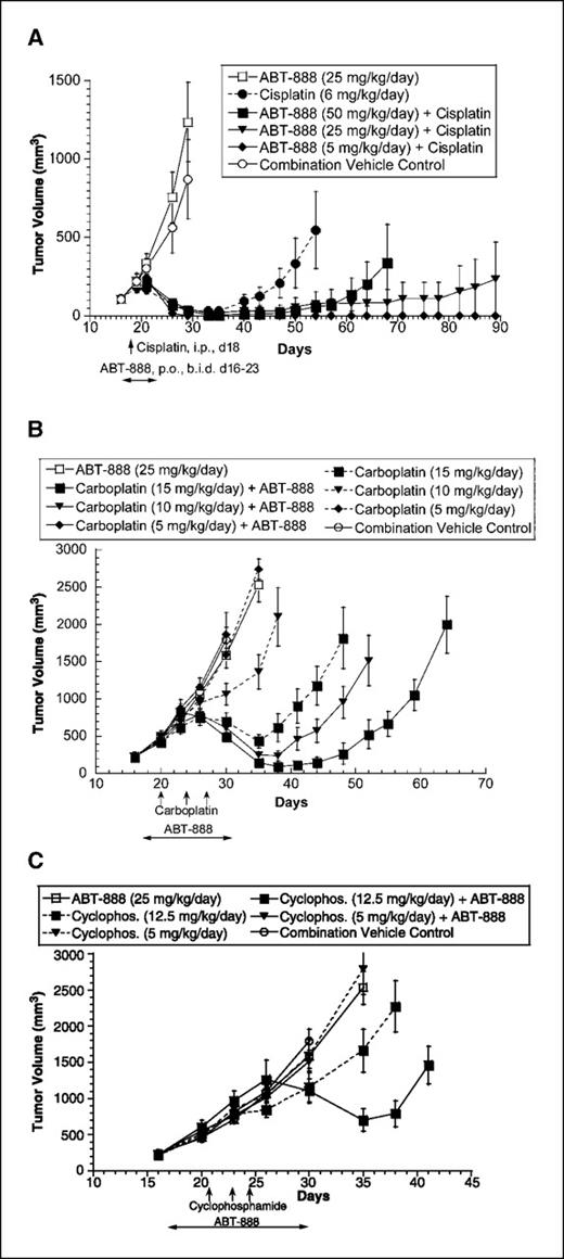 Fig. 4. In vivo efficacy of ABT-888 in combination with cisplatin, carboplatin, or cyclophosphamide in the MX-1 breast carcinoma xenograft model. A, tumors were size matched to 100 mm3 on day 16 and PARP inhibitor therapy (p.o., b.i.d.×8) was initiated the same day. A single dose of cisplatin at 6.0 mg/kg/d was administered i.p. on day 18. Data consist of nine nude mice per treatment group; bars, SE. B, tumors were size matched to ∼200 mm3 on day 16. ABT-888 was administered at 25 mg/kg/d s.c., via 14-d OMPs starting on day 17. Carboplatin was administered i.p on days 20, 24, and 27. Data consists of 8 to 10 scid mice per treatment group; bars, SE. C, tumors were size matched to ∼200 mm3 on day 16. ABT-888 was administered at 25, 12.5, and 5 mg/kg/d s.c., via 14-d OMPs starting day 17. Cyclophosphamide at 12.5 and 5 mg/kg/d was administered i.p., on days 20, 24, and 27. Data consist of 8 to 10 scid mice per treatment group; bars, SE. Respective control vehicles were used in all treatment groups.