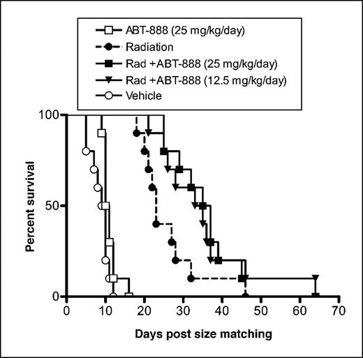 Fig. 5. Kaplan-Meier analysis of ABT-888 in combination with radiation in the HCT-116 colon carcinoma model. Cumulative survival (% of tumors for each group greater than 4× initial volume) is plotted versus time. Once a tumor volume of 100 to 200 mm3 was reached, animals were randomly assigned to different treatment arms. ABT-888 was delivered via 14-d s.c. OMPs 3 d before radiation. Three days after pump implantation, groups of animals were chosen to receive once daily radiation (Rad) to the tumor xenograft site at 2 Gy per fraction for a total of 10 d. Median survival times for the vehicle, ABT-888 monotherapy, radiation, and 1, 5, 12.5, and 25 ABT-888 mg/kg/d radiation combination groups were 9.5, 10.5, 23, 25.5, 26.5, 34, and 36 d, respectively. In combination with radiation, ABT-888 showed a dose response (P = 0.0165, log-rank trend). ABT-888 at 5 and 1 mg/kg/d in combination with radiation was not plotted because these groups were not significantly different than radiation alone. Data consists of 10 mice per treatment group; bars, SE. Log-rank test of ABT-888 (25 mg/kg/d) combination versus radiation (P = 0.036); ABT-888 (12.5 mg/kg/d) combination versus radiation (P = 0.06). One animal had no measurable tumor at the end of the trial in the radiation and ABT-888 (12.5 mg/kg/d) combination group.