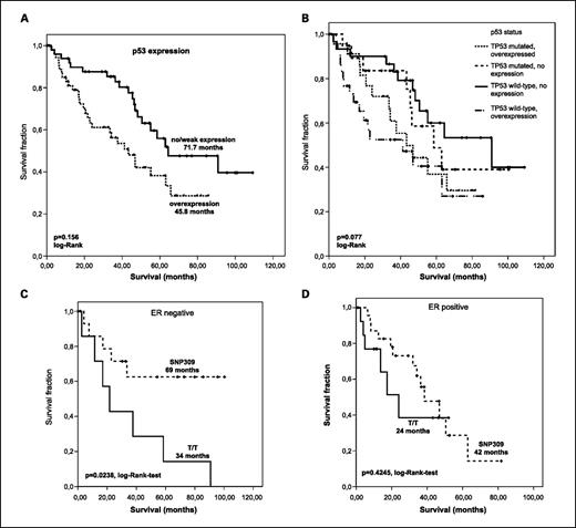 Fig. 2. A, overall survival of ovarian cancer patients with different p53 expression status. B, overall survival of ovarian cancer patients with combined p53 protein and mutational status (refer to text for further details). C and D, overall survival of ovarian cancer patients with different SNP309 genotypes and ER expression levels.