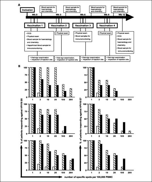 Fig. 1. Vaccination scheme and HPV16-specific T-cell responses. A, schematic overview of vaccination scheme. ECG, electrocardiogram. B, for each patient group (top, group 1; middle, group 2; bottom, group 3), the number of patients responding to the HPV16 antigens E6 and E7 as analyzed in PBMC before vaccination (white columns), after two vaccinations (striped columns), and after four vaccinations (black columns) is shown versus the number of specific spots scaled from 1 to 200 as determined by IFNγ ELISPOT. As described in Materials and Methods, a positive response is defined as at least 10 specific spots per 100,000 PBMCs. Thus, the observed T-cell response is stronger at the right side. Notably, the peak T-cell responses are used to determine the strength of the response.