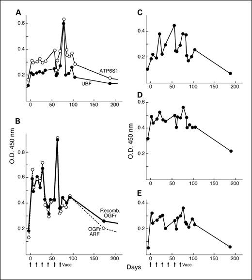 Fig. 2. Antibody titers of melanoma patient K008 against multiple antigens identified by SEREX using postvaccination sera as a function of vaccination. ELISA with bacterial-expressed protein. Sera at a 1:1,000 dilution. Arrows, times of vaccination. Coordinated increases in antibody titers to UBF and ATP6S1 (A; previously reported; ref. 10) and OGFr (B; ref. 9). Increases in antibody titers to three functionally related proteins: FAK (C), AKT2 (D), and HIDA (E).