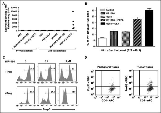 Fig. 5. A, humoral responses were not induced in mice vaccinated with PEP-3-KLH and WP1066 but were induced, as anticipated, with PEP-3-KLH and CFA. B, cytotoxicity of the B16EGFRvIII cells in vitro produced by splenocytes from mice vaccinated with PEP-3-KLH or with PEP-3-KLH plus WP1066. The splenocyte effector cells from mice that were vaccinated with PEP-3-KLH induced minimal lysis. However, splenocyte effector cells from mice that were vaccinated with PEP-3-KLH plus WP1066 potently enhanced EGFRvIII-specific lysis (P < 0.05). Columns, mean; bars, SD. C, WP1066 inhibits FoxP3 induction in T cells in peripheral blood and down-regulates FoxP3 in natural Tregs. CD4+CD25-CD62Lhi naïve T cells from C57BL/6J mice were stimulated by plate-bound anti-CD3 (2 ug/mL) and soluble anti-CD28 (2 ug/mL) in the presence of TGFβ1 (1 ng/mL) and hIL2 (200 U/mL) with 0, 0.1, and 1.0 mmol/L WP1066 for inducible Tregs (iTreg) differentiation; CD4+CD25+ T cells (nTreg, natural Tregs) were stimulated by plate-bound anti-CD3 (2 ug/mL) and soluble anti-CD28 (2 ug/mL) in the presence of hIL2 (200 U/mL) with 0, 0.1, and 1.0 mmol/L WP1066. Ninety-six hours after stimulation, the cells were analyzed for intracellular FoxP3 expression by flow cytometry. The percentage numbers for the indicated population are shown. D, fluorescence-activated cell sorting staining of peritumoral and tumor tissue isolated from a patient with melanoma metastasis to the brain. CD4+ cells were gated from the total cell population and plotted against FoxP3.