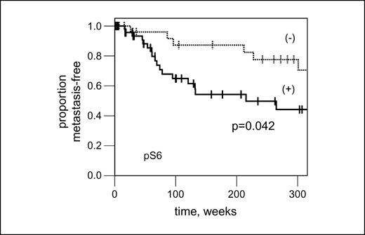 Fig. 3. Kaplan-Meier time-to-metastasis curves of the validation set when stratified by p-S6 status. For p-S6–negative cases (dashed line; n = 32), a median survival could not be ascertained as 25 cases were censored. For p-S6–positive (solid line; n = 50), the median time-to-metastasis was 215 wk. The difference in time-to-metastasis was significant between p-S6–negative cases and positive cases (P = 0.04, log-rank).