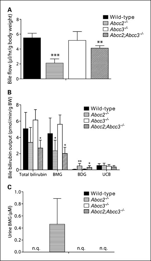 Fig. 3. Analysis of bile and urine from male wild-type, Abcc2−/−, Abcc3−/−, and Abcc2;Abcc3−/− mice after gall bladder cannulation and ligation of the common bile duct. Bile was collected in 15-min fractions over 1 h. Bile collected in the first 15 min was analyzed for bilirubin concentration (B). A, average bile flow in the various mouse strains (0-60 min). B, output of total bilirubin, BMG, BDG, and UCB in the bile of the mouse strains (first 15-min fractions). C, BMG concentration in urine of the mouse strains. BDG and UCB were not detected in any of the urine samples. Data are means ± SD (n = 5; *, P < 0.05; **, P < 0.01; ***, P < 0.001). BMG, bilirubin monoglucuronides; BDG, bilirubin diglucuronides; UCB, unconjugated bilirubin; n.q., not quantifiable.