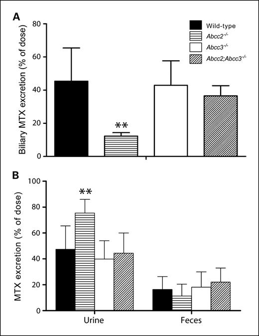 Fig. 5. Effect of Abcc2 and Abcc3 on biliary and urinary excretion of MTX in female mice. A, biliary excretion of MTX (as percentage of dose) after i.v. administration of 50 mg/kg MTX to common bile duct ligated and gall bladder cannulated female wild-type, Abcc2−/−, Abcc3−/−, and Abcc2;Abcc3−/− mice (means ± SD; n = 3-5; **, P < 0.01; ANOVA). B, urinary and fecal excretion of MTX (as percentage of dose) in the first 24 h after i.v. administration of 50 mg/kg MTX to mice of the various strains (means ± SD; n = 3-9; **, P < 0.01; ANOVA). Urinary and fecal excretion of MTX 24 to 48 h after i.v. administration was around 1% of the dose and not significantly different from wild type in any of the strains (not shown). The levels of MTX in liver, small intestine, and kidney 48 h after i.v. administration were <0.03% in all strains, and plasma levels were below the lower limit of quantification (24 nmol/L; not shown).