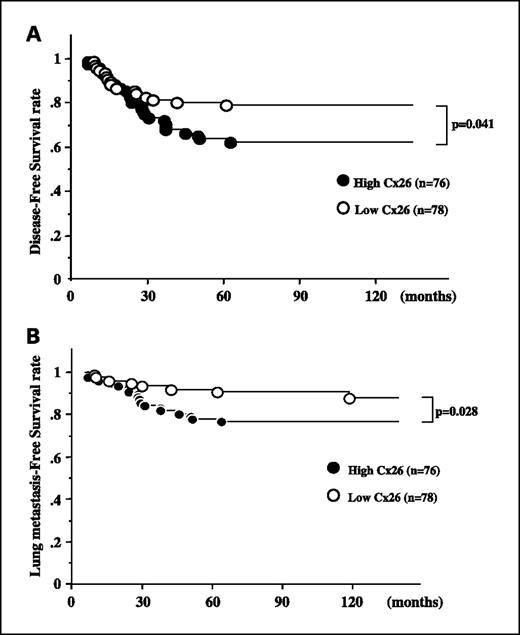 Fig. 5. Disease-free survival after curative surgery. A, the high Cx26 group was associated with significantly shorter disease-free survival than the low Cx26 group (P = 0.041). B, lung metastasis–free survival curves indicated that the high Cx26 expressing group was associated with lung metastasis (P = 0.028).
