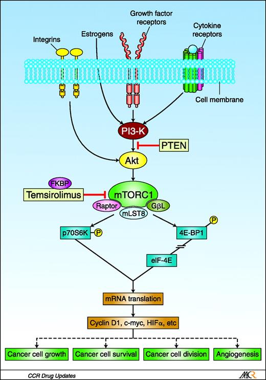 Fig. 1. mTOR signaling and temsirolimus. Cell stimulation through various means initiates an intracellular cascade that leads to the activation of the kinase mTOR, which has a key role in cell growth and proliferation, regulation of apoptosis, and angiogenesis. Temsirolimus binds to FK506-binding protein (FKBP), and the resultant protein-drug complex inhibits the kinase activity of the mTORC1 complex. PI3-K, phosphatidylinositol 3-kinase; p70S6K, p70 S6 kinase; 4E-BP1, 4E-binding protein-1; eIF-4E, eukaryotic initiation factor-4 subunit E; HIFα, hypoxia-inducible factor α.