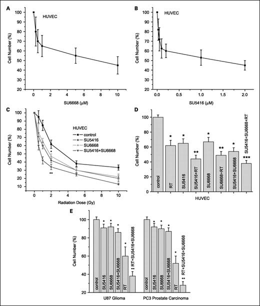 Fig. 1. Cell response in vitro to SU5416, SU6668, radiation, and combinations in the 72-h proliferation/cell number assay. Cells were exposed to the indicated treatment for 72 h and the cells were counted. Cell numbers normalized to their cognate untreated control are shown as a function of treatment. A, SU6668 dose response in endothelial cells (HUVEC). Points, mean (n = 5); bars, SD. B, SU5416 dose response in endothelial cells (HUVEC). Points, mean (n = 5); bars, SD. C, radiation dose response alone and in combination with compounds (1 μmol/L SU5416 and 5 μmol/L SU6668) in endothelial cells (HUVEC). *, P < 0.05 versus control; **, P < 0.05 versus the dual combination of SU5416 + SU6668. Points, mean (n = 5); bars, SD. D, detailed analysis for 2 Gy ± SU5416 ± SU6668 in HUVEC. Columns, mean (n = 5); bars, SD. *, P < 0.05 versus controls; **, P < 0.05 versus the respective monotherapy; ***, P < 0.05 versus the respective dual drug combinations. E, analysis for 2 Gy ± SU5416 ± SU6668 in PC3 and U87 tumor cells. Columns, mean (n = 5); bars, SD. *, P < 0.05 versus controls; **, P < 0.05 versus the dual combination of SU5416 + SU6668. RT, radiation.