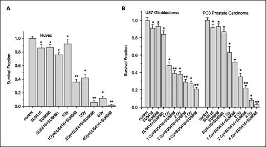 Fig. 2. Clonogenic survival in response to SU5416, SU6668, radiation, and combinations. A, HUVEC. B, U87 and PC3. Columns, mean (n = 6); bars, SD. *, P < 0.05 versus control; **, P < 0.05 versus the dual combination of SU5416 + SU6668.