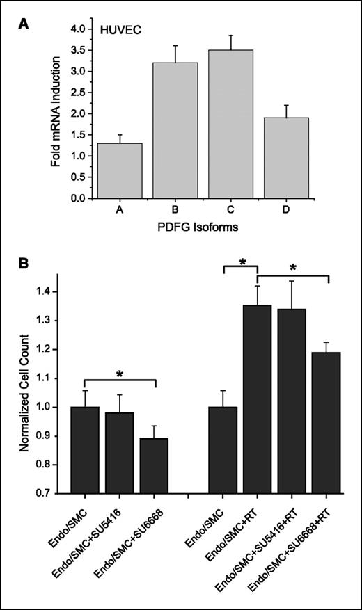 Fig. 5. A, real-time quantitative reverse transcription-PCR for HUVEC mRNA expression of PDGF-A, PDGF-B, PDGF-C, and PDGF-D isoforms measured 12 h after 2 Gy irradiation. Columns, mean of at least three independent measurements and show relative expression levels compared with the nonirradiated control cells; bars, SD. B, endothelial cell/HUVEC proliferation (Endo) in a SMC/HUVEC coculture model. SU6668 treatment of SMCs leads to a significant inhibition of endothelial cell proliferation. Selective irradiation (RT) of SMCs enhances endothelial cell proliferation (35% increase compared with nonirradiated SMCs in coculture). Treatment of SMCs with SU6668, but not SU5416, resulted in significant reduction of radiation-induced paracrine prosurvival effects. Columns, mean (n = 3); bars, SD. *, P < 0.01.