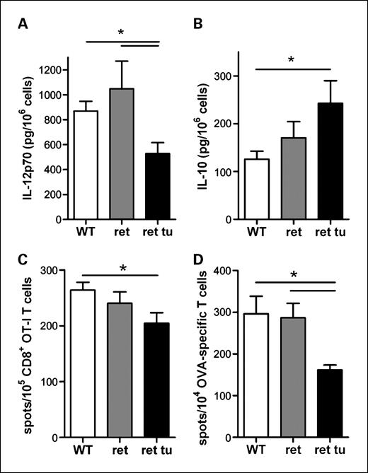 Fig. 3. Cytokine secretion and T-cell stimulation by DCs from tumor-bearing mice. A and B, spleen DCs simultaneously isolated ex vivo from tumor-bearing (ret tu), tumor-free (ret), and wild-type mice (WT) were stimulated with CpG1668 for 24 h, followed by detection of IL-12p70 (A) and IL-10 (B) in supernatants with the use of ELISA. Data, mean ± SE from 10 mice per experimental group. *, P < 0.05; differences between indicated groups. C and D, CD11c+DCs were isolated through positive selection, loaded with the ovalbumin peptide SIINFEKL at 37°C for 1 h, and cocultured for 3 d with CD8+ T cells isolated from spleens of OT-I mice (C), or cocultured with an ovalbumin-specific T-cell line for 40 h (D). T-cell activation was evaluated by spot numbers in the IFN-γ enzyme-linked immunosorbent spot assay. Means ± SE from four animals per experimental group are shown. *, P < 0.05; differences between indicated groups.