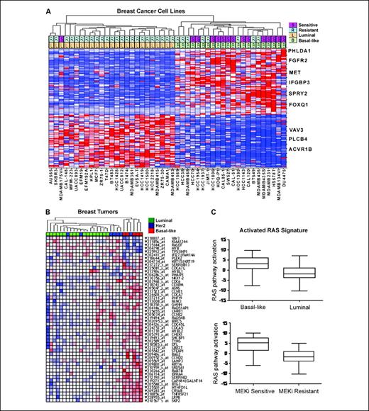 Fig. 3. Oncogenomic signature determinants of MEK inhibitor response in basal-like breast cancer. A, gene expression signature derived from supervised analysis to identify genes differentially expressed between MEK-sensitive and MEK-resistant cell lines. Hierarchical clustering of cell lines was done with the top 100 differentially expressed genes defined by max/min ratio across the cell line panel. Cell lines are shown on the horizontal axis, and select gene identities on the vertical axis. The two rows at the top of the figure show MEK inhibitor–sensitive (S) and MEK inhibitor–resistant (R) cell lines as well as luminal (L) or basal-like (B) phenotype as determined by overall gene expression. Select genes are indicated to the right of the heat map. B, an activated Ras/MEK signature from cell lines is enriched in basal-like tumors. HRAS or MEK gain-of-function mutant proteins were expressed in MCF-10A cells and supervised analyses were used to identify the 50 most differentially expressed genes in common between these experiments. Probes representing these genes were used to perform unsupervised hierarchical clustering on independent breast cancer tumor samples that had been classified into different molecular subtypes (luminal, basal-like, or HER2 amplified) based on independent gene expression analysis. The subtype of each sample is indicated by color coding in the top row according to the key in the figure. In the heat map, red indicates high expression and blue indicates low expression of a given probe. C, basal-like and MEK inhibitor–sensitive cell lines have an activated RAS signature. Predictive classifiers of RAS pathway activation were developed from gene expression data derived from MCF-10A cells expressing mutant HRAS and used to classify breast cancer cell lines. The y axis indicates predicted RAS pathway activation based on a scalar predictor. The x axes show cell lines divided into molecular subtypes (top) and into MEK inhibitor–sensitive and MEK inhibitor–resistant classes (bottom)