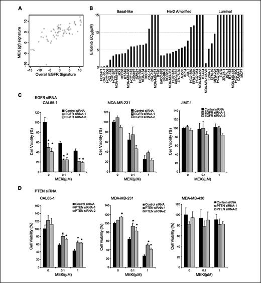 Fig. 4. Functional analysis of EGFR signaling and PTEN in basal-like breast cancer. A, the MEK(gf) signature (y axis) is correlated with a published EGFR signature (x axis). Overall gene signature levels were calculated as described in Supplementary Experimental Procedures. Each point represents a single cell line. B, cell lines of the basal-like subtype show greater in vitro sensitivity to the EGFR inhibitor erlotinib compared with luminal or HER2-amplified cell lines. Cell lines are classified into major subtypes as described for Fig. 1, and cell viability was assessed in a 3-d ATP-based viability assay. C, EGFR siRNA knockdown and effects on MEK inhibitor sensitivity in a basal-like line without known RAS or RAF mutations (CAL85-1), a basal-like cell line with a KRAS mutation (MDA-MB-231), and a HER2-amplified cell line (JIMT-1). The y axis indicates percent cell viability relative to untreated nontarget control siRNA–treated cells, and the x axis indicates MEK inhibitor concentration. Light gray columns, nontarget control siRNA–treated cells; dark gray columns, EGFR siRNA–treated cells. EGFR siRNA affects viability and enhances the effects of MEK inhibition in CAL85-1, but not MDA-MB-231 or JIMT-1, cells (*, P < 0.05, Student's t test). D, effects of a MEK inhibitor on basal-like cell lines with intact PTEN or where PTEN has been ablated by RNA interference. The cell lines are labeled above each graph. The y axis of each chart shows percent cell viability normalized to nontarget control siRNA–treated cells in the absence of MEK inhibitor, whereas the x axis indicates the concentration of MEK inhibitor. Dark gray columns, cells treated with control siRNA; light gray columns, cells treated with two independent PTEN siRNA duplexes as indicated in the key. Bars, SDs calculated from duplicate experimental wells. PTEN siRNA treatment significantly reduced inhibition in response to treatment with two different concentrations of MEK inhibitor in CAL-85-1 and MDA-MB-231 cells (*, P < 0.05, Student's t test). As a control for specificity of the siRNA duplexes, PTEN siRNA was done in the PTEN-null cell line MDA-MB-436 and had no effect on cell viability compared with control siRNA.