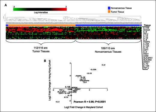 Fig. 1. Inflammatory genes are consistently altered in colon tumors from both cohorts. A, unsupervised hierarchical clustering (correlation, average linkage) using 21 inflammatory genes on 113 pairs of cancerous and noncancerous tissues in the Hong Kong cohort. Clustering separates tissues into two distinct groups: one composed of 97% tumor tissues and one composed of 99% noncancerous tissue. B, correlation of the tumor/noncancerous tissue expression ratio comparing the Hong Kong cohort with the NCI-Maryland cohort indicates consistent changes in inflammatory gene expression in both cohorts.