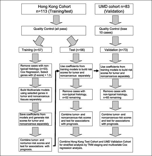 Fig. 2. Strategy for building inflammatory risk scores. Genes were selected for inclusion in the risk score based on univariate Cox regression on the Hong Kong training cohort. Multivariate Cox regression on the training cohort was used to build the risk models. This model was then tested on the Hong Kong test and Maryland validation cohorts.