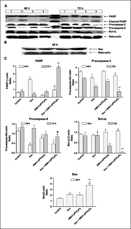 Fig. 3. Expression of apoptosis proteins. A549 cells were treated with docetaxel (0.01 μmol/L), DIM-C-pPhC6H5 (7.5 μmol/L), and docetaxel (0.01 μmol/L) + DIM-C-pPhC6H5 (7.5 μmol/L) for 48 and 72 h and whole-cell lysates were analyzed by Western blotting for PARP, procaspase-3 and -9, and Bcl-xL (A) and Bax (B) protein expression. Lane 1, untreated control cells; lane 2, docetaxel (0.01 μmol/L); lane 3, DIM-C-pPhC6H5 (7.5 μmol/L); lane 4, docetaxel (0.01 μmol/L) + DIM-C-pPhC6H5 (7.5 μmol/L). β-Actin protein acts as a loading control. Similar results were observed in replicate experiments. C, quantitation of apoptosis protein expression. Protein expression levels (relative to β-actin) were determined. Mean ± SE of three replicate determinations. *, P < 0.05, significantly different from untreated controls; **, P < 0.05, significantly different from DIM-C-pPC6H5 and docetaxel single treatments; ▪, P < 0.05, significantly different from docetaxel single treatment.