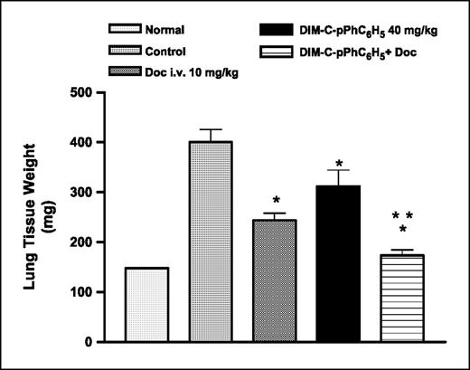 Fig. 5. Effect of DIM-C-pPhC6H5 and docetaxel treatments on mice lung weights. Female nude mice with orthotopic lung tumors received various treatments for 28 d starting on day 7 following tumor implantation. The mice were treated with docetaxel 10 mg/kg given intravenously (days 14, 18, and 22), DIM-C-pPhC6H5 40 mg/kg given orally (3 times a week), and docetaxel + DIM-C-pPhC6H5. Control group received vehicle only. Mean ± SE (n = 8). This experiment was repeated twice. *, P < 0.05, significantly different from untreated controls; **, P < 0.05, significantly different from DIM-C-pPC6H5 and docetaxel single treatments.