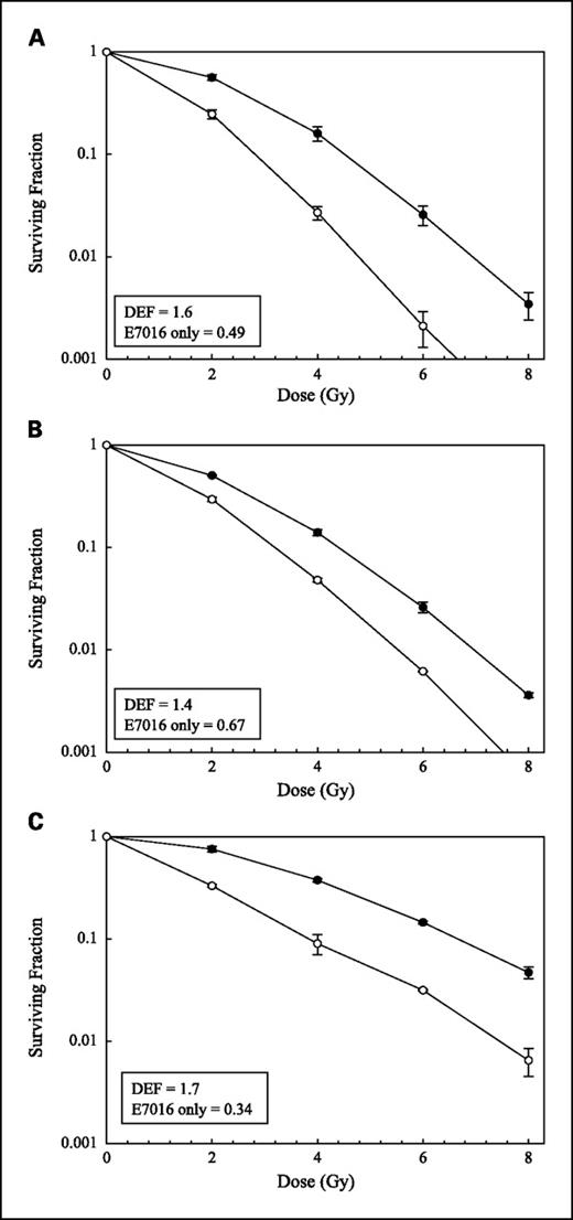 Fig. 2. The effects of E7016 on tumor cell radiosensitivity. Cells were seeded as a single-cell suspension and with a specified number of cells. After allowing cells time to attach (16 h), E7016 or the vehicle control was added at specified concentrations and the plates were irradiated 6 h later. Ten to twelve days after seeding, survival curves were generated after normalizing for the cytotoxicity generated by E7016 alone. A, U251 (3 μmol/L). B, MiaPaCa (3 μmol/L). C, DU145 (5 μmol/L). Data presented are the mean ± SE from at least three independent experiments. • = irradiation alone; ○ = irradiation plus E7016; DEF, dose enhancement factor.