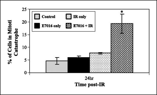 Fig. 3. Influence of E7016 on radiation-induced mitotic catastrophe. U251 cells growing in chamber slides were exposed to E7016 (3 μmol/L) for 6 h, irradiated (2 Gy), and fixed at 24 h postirradiation for immunocytochemical analysis of mitotic catastrophe. Nuclear fragmentation (defined as the presence of two or more distinct lobes within a single cell) was evaluated in 100 cells per treatment per experiment. Gray column, vehicle-treated cells; black columns, cells treated with E7016 alone; dotted columns, cells treated with 2 Gy alone; striped columns, cells treated with the combination of E7016 and 2 Gy. The data represent the mean of three independent experiments; bars, ± SE. *, P = 2.6 × 10−5 according to Student's t test (2 Gy versus E7016 plus 2 Gy).