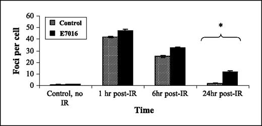 Fig. 4. Influence of E7016 on radiation-induced γH2AX foci. U251 cells growing in chamber slides were exposed to E7016 (3 μmol/L) for 6 h, then irradiated (2 Gy), returned to incubator, and fixed at the specified times for immunocytochemical analysis of nuclear γH2AX foci. Striped columns, cells treated with 2 Gy alone; black columns, cells treated with both E7016 and 2 Gy. Foci were evaluated three times in 50 nuclei per treatment per experiment; columns, mean of three independent experiments; bars, SE. *, P < 0.0001 according to Student's t-test (E7016 plus 2 Gy versus 2 Gy alone).