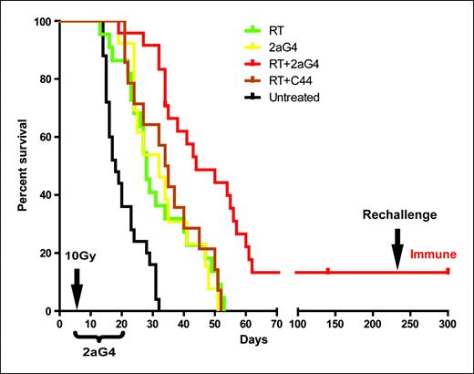 Fig. 3. Prolonged survival time and cures in rats bearing orthotopic F98 tumors treated with irradiation and 2aG4. Rats bearing orthotopic F98 gliomas were treated with 10 Gy radiation therapy (RT), 2aG4, RT + 2aG4, or RT + C44 5 d after injection of tumor cells as in Fig. 1. The survival in the RT + 2aG4 group was significantly longer than in all other groups (P < 0.001). Thirteen percent of rats treated with RT + 2aG4 were rendered disease free. After 230 d, the disease-free rats were rechallenged by intracerebral injection of 5 104 into the contralateral hemisphere. None of the rats developed disease, indicating that their prior treatment had caused them to develop immunity.