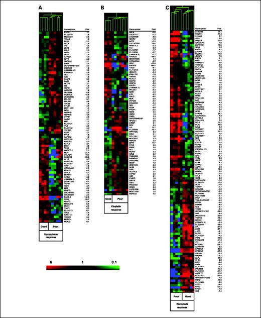 Fig. 1. Heat maps for genes that classify human osteosarcoma xenografts according to chemosensitivity. Levels of expression represent mean values from triplicate array hybridization and are presented as below (green) or above (red) the median expression of each gene (black). Blue, genes that were flagged absent in the representing arrays. These lists of genes were selected by a one-way ANOVA analysis with a Benjamini-Hochberg multiple test correction allowing false discovery rates of 5% for doxorubicin (A; 85 genes), 2% for cisplatin (B; 74 genes), and 0.5% for ifosfamide (C; 118 genes). GenBank accessions and full gene names are listed in Supplementary Table S2A to C.