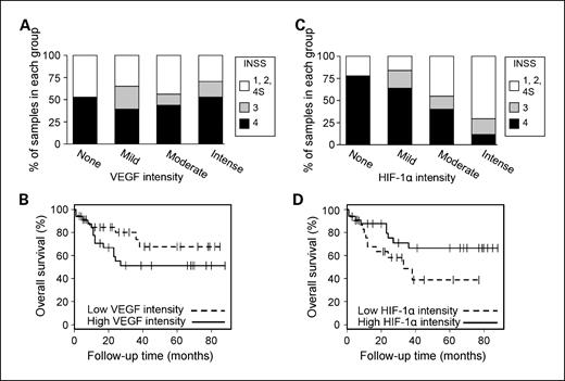 Fig. 5. VEGF and HIF-1α protein levels analyzed in relation to clinical stage and overall survival. VEGF and HIF-1α protein staining intensity was scored in a four-grade scale on a tissue microarray representing 93 neuroblastoma patients. A, no significant correlation was found between VEGF staining intensity and clinical stage (ρ = 0.05) as determined by three groups of increasing stage (INSS 1, 2, 4S; INSS 3; INSS 4). B, for Kaplan-Meier survival analysis, VEGF staining scores were pooled into two groups: low (none and mild) and high (moderate and high) immunoreactivity. There was no significant correlation between VEGF staining intensity and patient outcome (P = 0.14, log-rank test). C, a strong and significant correlation was found between high HIF-1α staining intensity and low clinical stage (ρ = −0.47, P < 0.001). D, Kaplan-Meier analysis, using HIF-1α staining scores pooled into two groups of high or low immunoreactivity, showed a trend between high HIF-1α intensity and favorable patient outcome (P = 0.08, log-rank test).