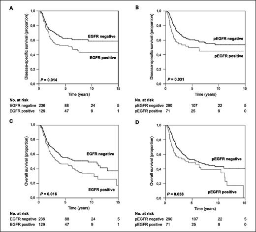 Fig. 1. Survival curves. Kaplan-Meier curves for the relation of EGFR and pEGFR immunostaining with DSS (A and B) and OS (C and D).