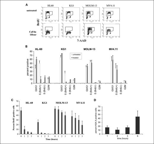 Fig. 3. Inhibition of BrdUrd incorporation by clofarabine. Cells were cultured for the times stated with equitoxic clofarabine (0.3 μmol/L for HL-60 and MOLM-13 and 1 μmol/L for KG1 and MV4.11). A, representative dot-plots of anti- BrdUrd fluorescence (Y axis) plotted against 7-AAD. B, summary histogram illustrating the proportion of cells in each phase of the cell cycle following 1 h treatment (mean ± SD). C, summary histogram illustrating the percentage of BrdUrd-positive cells over time (mean ± SD). D, γH2AX expression over time in MV4.11 in continuous culture with clofarabine.
