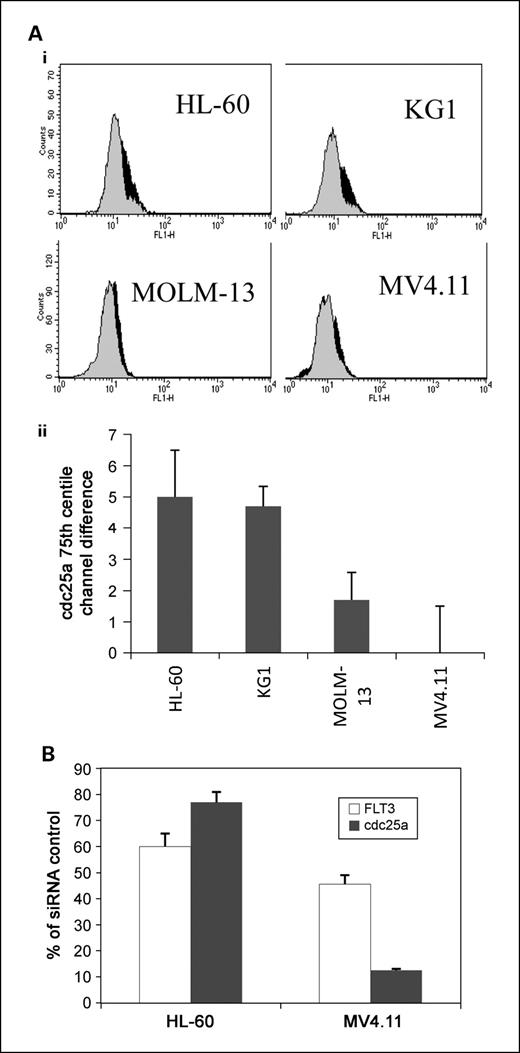 Fig. 4. cdc25 expression. A, Cdc25a expression by flow cytometry before (black histograms) and following (gray histograms) 1 h incubation with clofarabine. i, representative histograms; ii, as cdc25a in only detected in S and G2-M phases by this method, the median channel difference between treated and untreated cells does not reflect any drug-induced change: this summary chart therefore documents the channel (fluorescence) difference at the 75th centile between treated and untreated cells (mean ± SE of three experiments). B, effect of FLT3 siRNA inhibition on FLT3 and cdc25a message levels. Cdc25a and FLT3 message levels were measured 24 h after treating MV4.11 and HL-60 cells with siRNA to FLT3. Control cells were treated with nonspecific siRNA. Means and mean deviations of two experiments are shown.