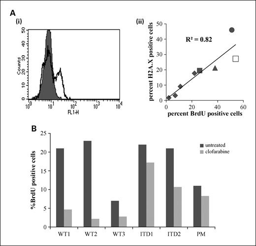 Fig. 5. Sensitivity of primary AML cells with and without mutant FLT3 to 0.3 μmol/L clofarabine. A, i, flow cytometric plot illustrating γH2AX expression in a clofarabine-treated AML patient sample (unfilled histogram) and in untreated cells (filled histogram); ii, scatter-plot indicating the percentage of BrdUrd incorporated and the percentage of γH2AX-positive cells (after 1 h for cell lines and 2 h for patient cells). Patient samples are indicated by filled diamonds, HL-60 cells by a circle, KG1 by a filled square, MOLM-13 by an unfilled square, and MV4.11 by a triangle. B, BrdUrd incorporation with and without 1 h exposure to 0.3 μmol/L clofarabine in individual patient samples: three wild-type samples (WT1-WT3), two ITD samples (ITD1 and ITD2), and one sample with a FLT3 D835Y point mutation (PM).