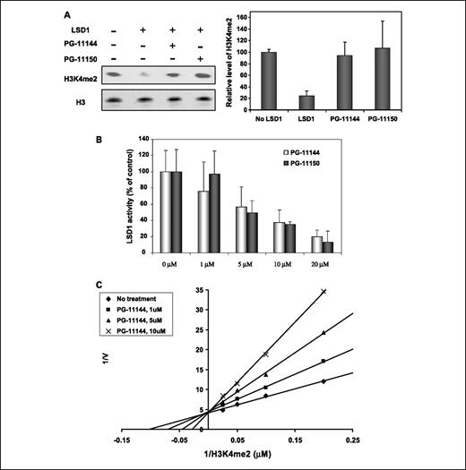 Fig. 2. Inhibition of recombinant human LSD1 by oligoamines. A, 0.05 μg/μL of purified bulk histones was incubated with or without 0.01 μg/μL purified full-length LSD1 for 3 h at 37°C. The effects of LSD1 enzymatic activity were analyzed by Western blotting using antibodies that specifically recognize the dimethyl group of H3K4. Relative levels were determined by quantitative Western blot analysis using the Odyssey IR detection system. Total H3 was used as a loading control. Columns, means of three determinations; bars, SD. B, 0.038 μg/μL of purified Δ184 LSD1 protein was incubated with 5 μmol/L H3K4me2 (1-21 aa) as substrate in the presence of increasing concentrations of PG-11144 and PG-11150. The effect of oligoamines on enzymatic activity of LSD1 was examined using luminol-dependent chemiluminescence to measure the production of H2O2. Columns, means; bars, SD. C, the effects of increasing concentrations of PG-11144 on LSD1 activity in the presence of increasing substrate concentrations. Double reciprocal plots indicate inhibition of LSD1 by PG-11144 to be competitive. Points, means of independent experiments done in triplicate; bars, SD.