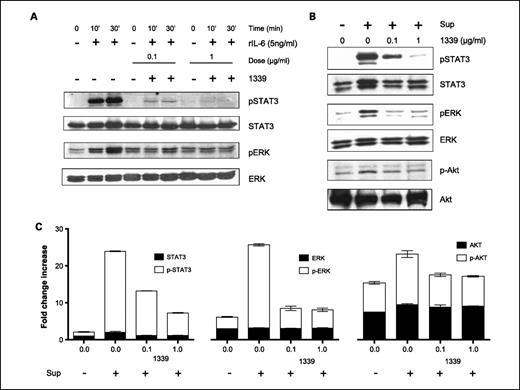 Fig. 3. 1339 inhibits STAT3, ERK1/2, and Akt signaling pathways. MM1S cells were incubated with IL-6 (5 ng/mL; 10 and 30 min; A) or with bone marrow stromal cell supernatant (30 min; B), in the absence or presence of 0.1 and 1 μg/mL of mAb 1339. Cells were harvested, and whole cell lysates were subjected to immunoblotting using the indicated antibodies. 1339 inhibits IL-6- and bone marrow stromal cell–induced activation of ERK1/2 and STAT3 pathway in multiple myeloma cells, whereas a relatively lesser effect was observed with the activation of AKT, as shown by densitometric quantitation of band intensity from Western blot (C). Data are means ± SD (n = 3) and are presented as fold change increase compared with control cells.