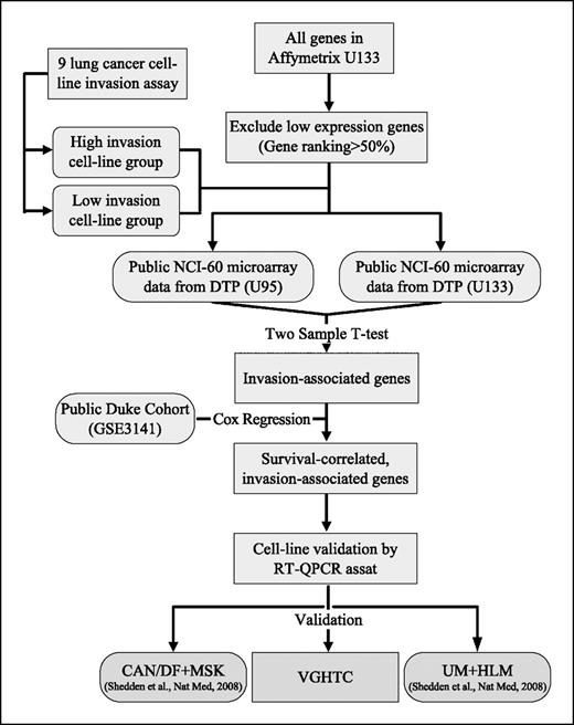 Fig. 1. Schematic diagram for deriving the gene signature. For details, see Materials and Methods and Results. DTP, Developmental Therapeutics Program.