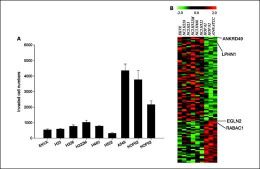 Fig. 2. A, in vitro invasion activity profile of nine lung cancer cell lines in NCI-60. Columns, mean of the data (n = 3); bars, SD. B, heat map of 110 gene expression profiles showing the differential expression between lowly invasive (group I) and highly invasive (group II) lung cancer cell lines.