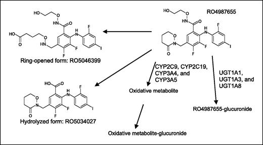 Fig. 4. Proposed CH4987655 metabolism pathway based on in vitro data.