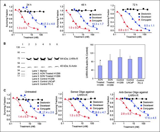 Fig. 1. In vitro assessment of antiproliferative effects of D-Ds in H1299 lung cancer cells. A, time course of antiproliferative effects over 24, 48, or 72 h. B, expression of LHRH-R—a Western blot analysis. Lane 2, AON-treated H1299; lane 3, SON-treated H1299; lane 4 to 6, control H1299, LNCaP, and PC-3 cells respectively. The bands at 64 kDa represent the LHRH-R, whereas those at 43 kDa represent internal protein standard, β-actin. The densitometric analysis of the band intensities of LHRH receptor versus β-actin (internal standard) are presented as mean ± SD for three experiments. *, P < 0.05 compared with all other groups. C, cells pretreated with SON and AON followed by treatment with various concentrations of deslorelin, docetaxel, and D-Ds for 24 h. Points, mean (n = 6); bars, SD. The IC50 values were calculated using the inhibitory sigmoid Emax model. The lines were fit using this model.